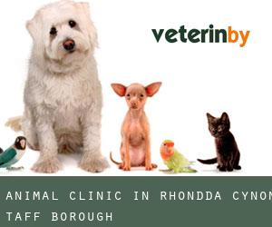 Animal Clinic in Rhondda Cynon Taff (Borough)