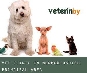 Vet Clinic in Monmouthshire principal area