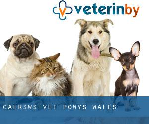 Caersws vet (Powys, Wales)
