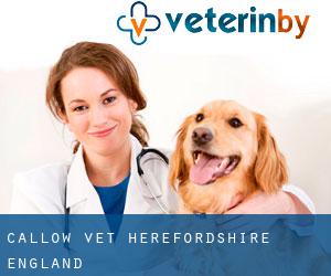 Callow vet (Herefordshire, England)