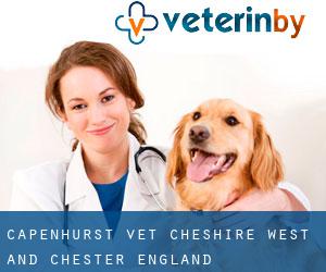 Capenhurst vet (Cheshire West and Chester, England)