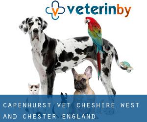 Capenhurst vet (Cheshire West and Chester, England)