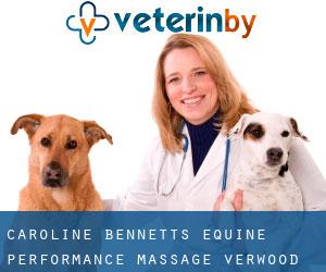 Caroline Bennetts Equine Performance Massage (Verwood)