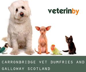 Carronbridge vet (Dumfries and Galloway, Scotland)