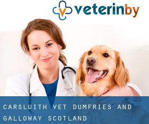 Carsluith vet (Dumfries and Galloway, Scotland)