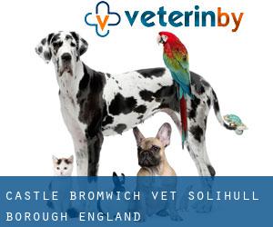 Castle Bromwich vet (Solihull (Borough), England)