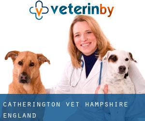 Catherington vet (Hampshire, England)