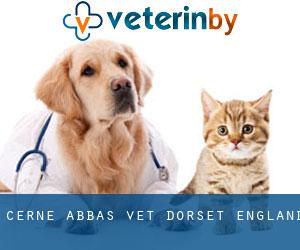 Cerne Abbas vet (Dorset, England)