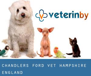 Chandler's Ford vet (Hampshire, England)