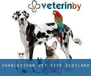 Charlestown vet (Fife, Scotland)