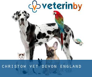 Christow vet (Devon, England)