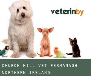 Church Hill vet (Fermanagh, Northern Ireland)
