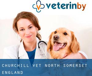 Churchill vet (North Somerset, England)