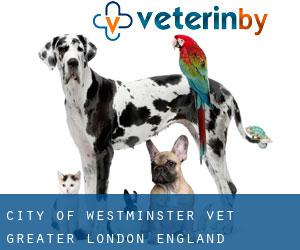 City of Westminster vet (Greater London, England)