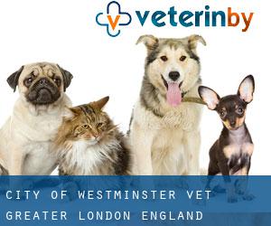 City of Westminster vet (Greater London, England)