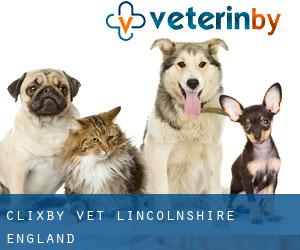 Clixby vet (Lincolnshire, England)