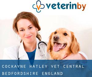 Cockayne Hatley vet (Central Bedfordshire, England)