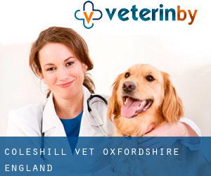 Coleshill vet (Oxfordshire, England)