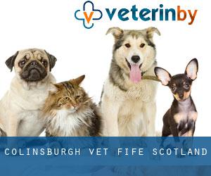 Colinsburgh vet (Fife, Scotland)