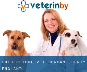 Cotherstone vet (Durham County, England)