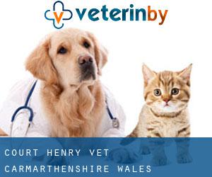 Court Henry vet (Carmarthenshire, Wales)