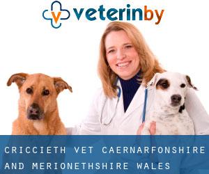 Criccieth vet (Caernarfonshire and Merionethshire, Wales)