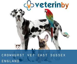 Crowhurst vet (East Sussex, England)