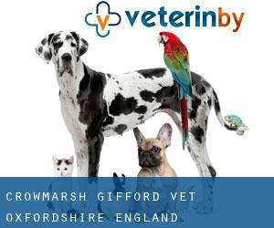 Crowmarsh Gifford vet (Oxfordshire, England)
