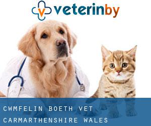 Cwmfelin Boeth vet (Carmarthenshire, Wales)