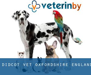 Didcot vet (Oxfordshire, England)