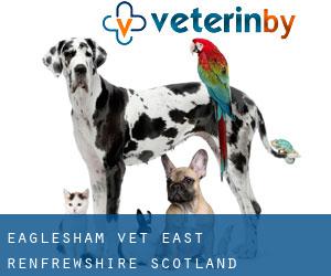 Eaglesham vet (East Renfrewshire, Scotland)
