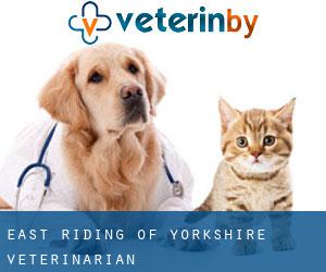 East Riding of Yorkshire veterinarian