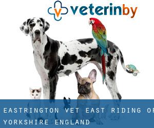 Eastrington vet (East Riding of Yorkshire, England)