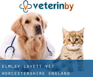 Elmley Lovett vet (Worcestershire, England)