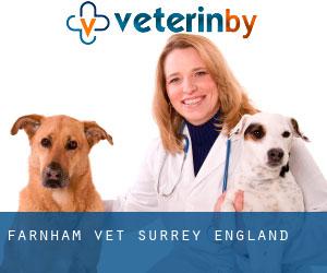 Farnham vet (Surrey, England)