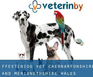Ffestiniog vet (Caernarfonshire and Merionethshire, Wales)
