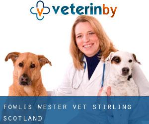 Fowlis Wester vet (Stirling, Scotland)
