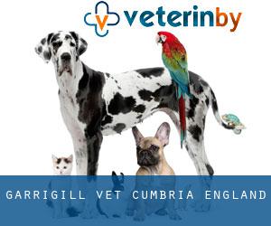 Garrigill vet (Cumbria, England)