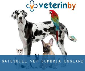 Gatesgill vet (Cumbria, England)
