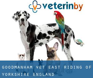 Goodmanham vet (East Riding of Yorkshire, England)