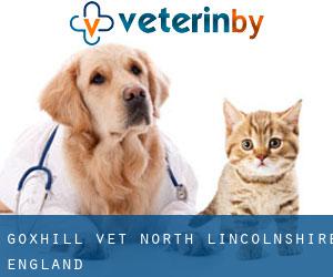 Goxhill vet (North Lincolnshire, England)