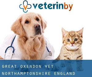 Great Oxendon vet (Northamptonshire, England)