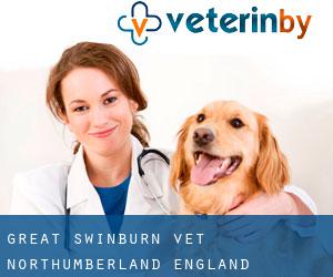 Great Swinburn vet (Northumberland, England)