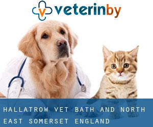 Hallatrow vet (Bath and North East Somerset, England)
