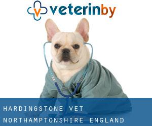 Hardingstone vet (Northamptonshire, England)
