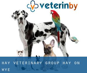 Hay Veterinary Group (Hay-on-wye)