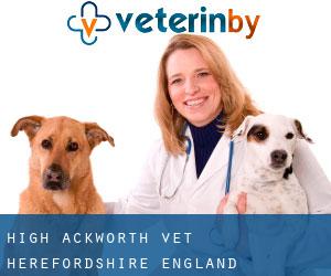 High Ackworth vet (Herefordshire, England)