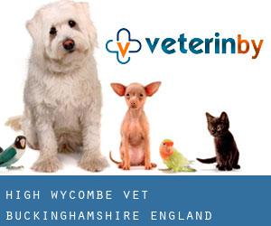 High Wycombe vet (Buckinghamshire, England)