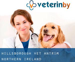 Hillsborough vet (Antrim, Northern Ireland)