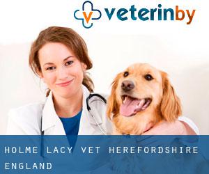 Holme Lacy vet (Herefordshire, England)